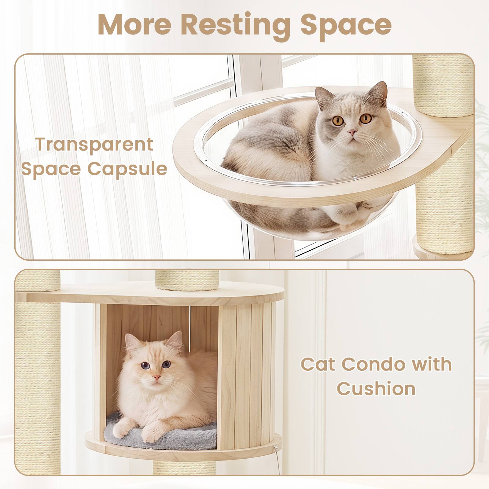 More Resting Space

Transparent Space Capsule

Cat Condo with Cushion