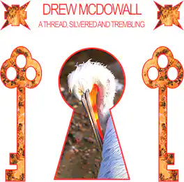 Drew McDowall - A Thread, Silvered and Trembling - VINYL LP