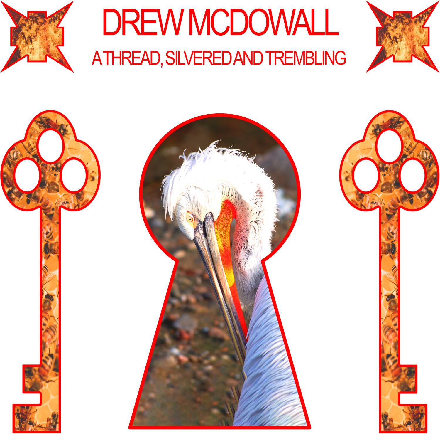 DREW MCDOWALL  
A THREAD, SILVERED AND TREMBLING