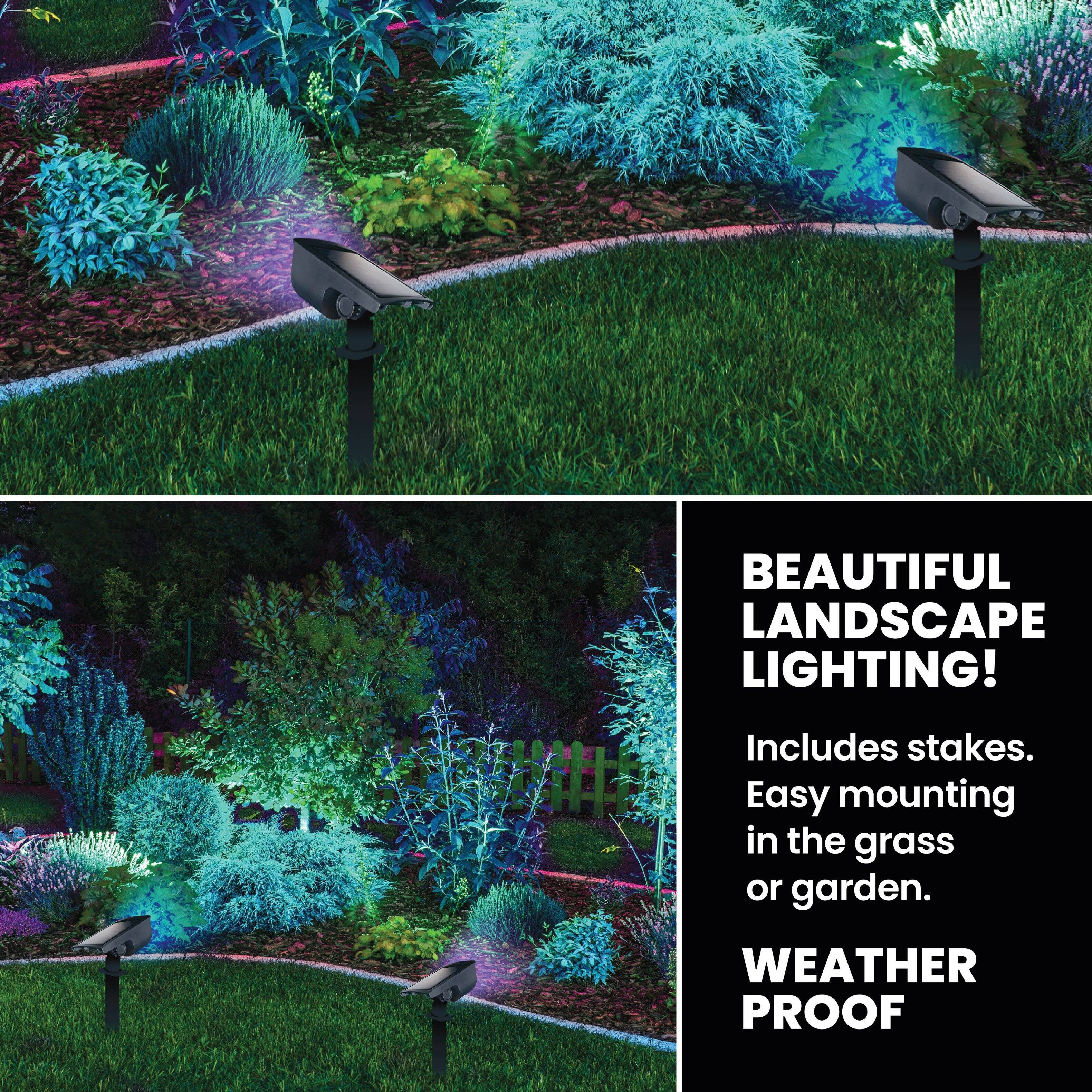 BEAUTIFUL LANDSCAPE LIGHTING!  
Includes stakes.  
Easy mounting in the grass or garden.  
WEATHER PROOF