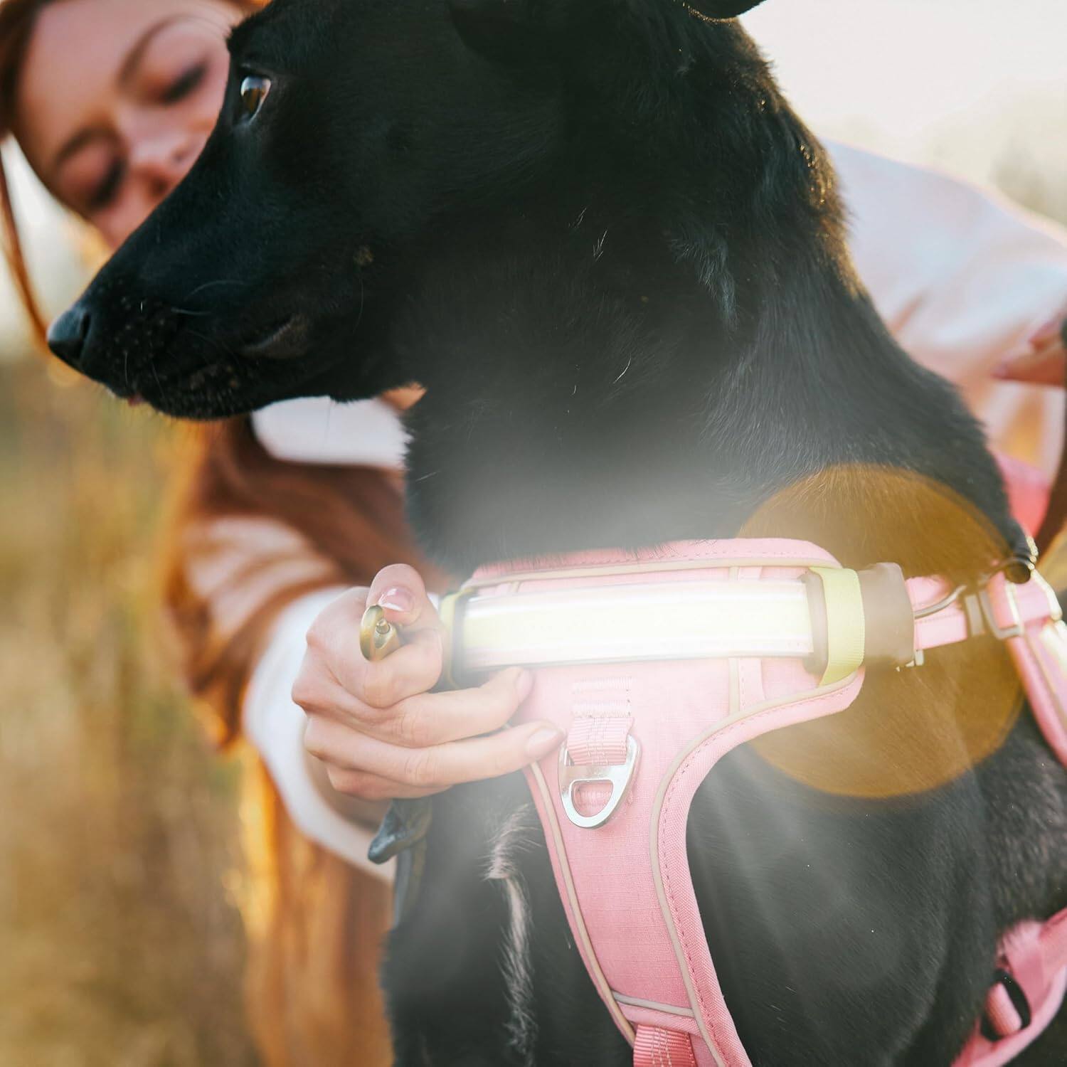 Alt View 4. Lumi Pawtners - Lumi One LED Dog Harness Pink - Pink.