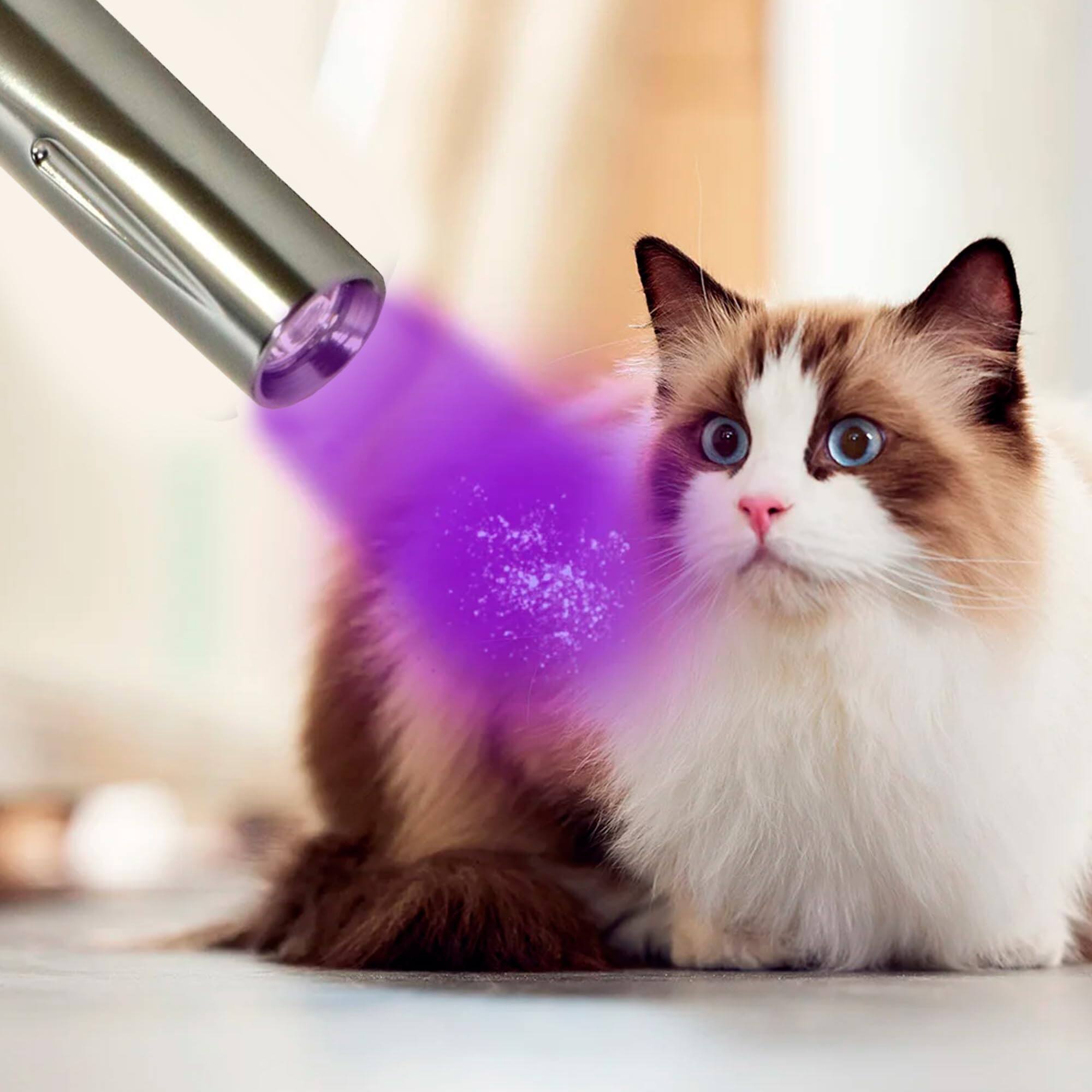 Back. HQRP - 365 nm UV Blacklight 3 W LED Pen Flashlight for Scorpion Detection, Pet Urine Stains, Minerals.