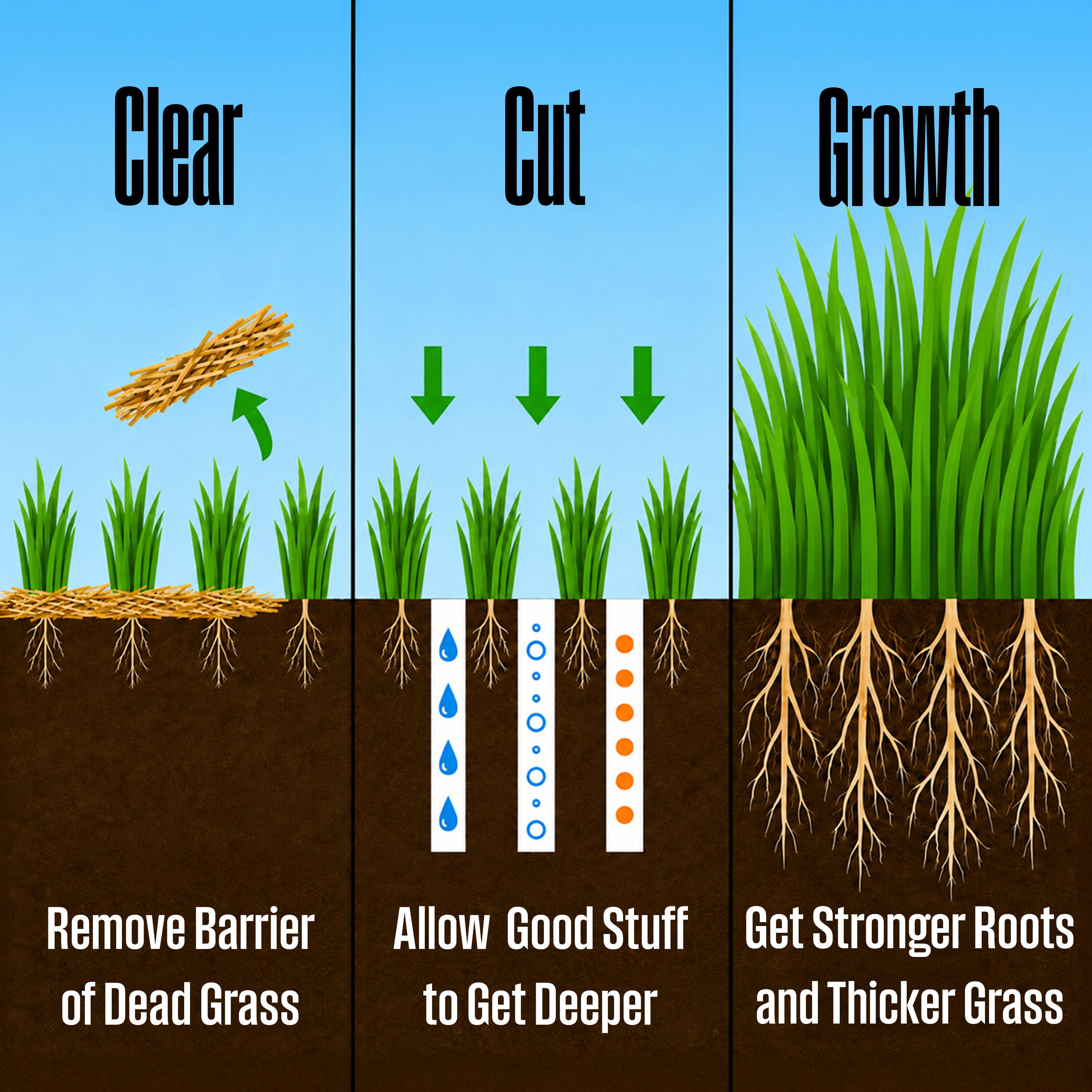Clear Cut Growth  
Remove Barrier of Dead Grass  
Allow Good Stuff to Get Deeper  
Get Stronger Roots and Thicker Grass