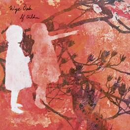 Wye Oak - If Children - Reissue - VINYL LP
