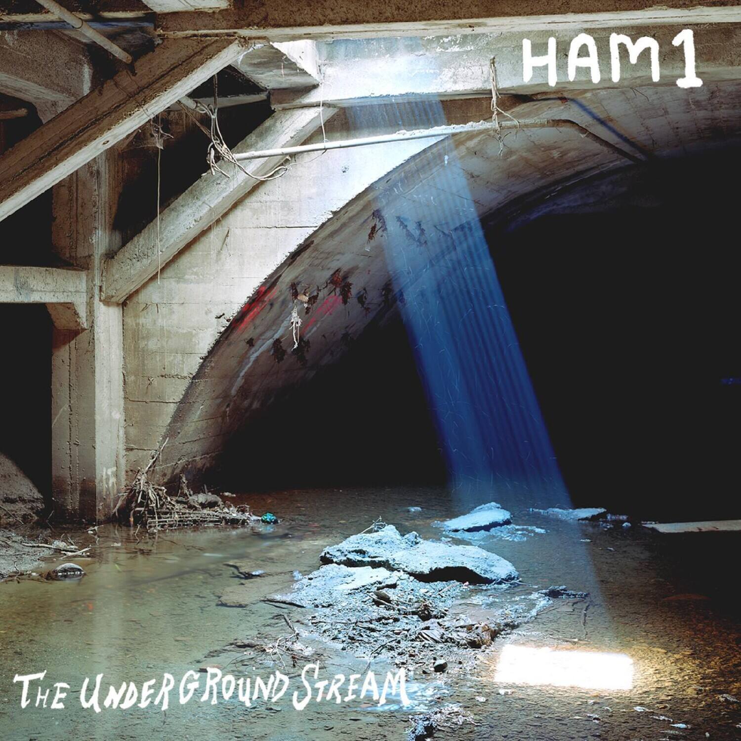 Ham1 - The Underground Stream   - VINYL LP price history on PriceWatchPro