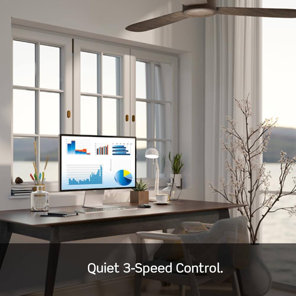 Quiet 3-Speed Control.