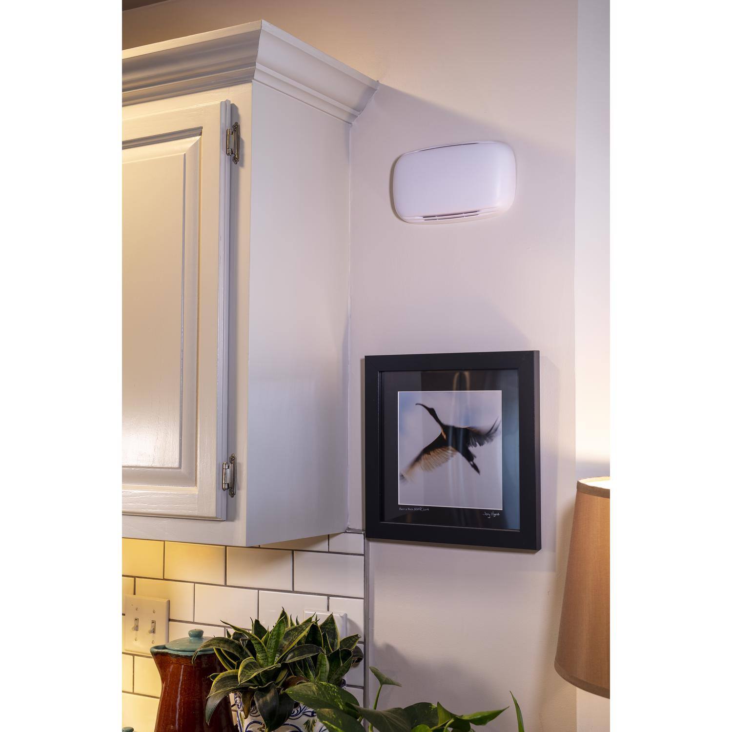 Angle. HEATH ZENITH - Heath Zenith White Plastic Wired Door Chime.