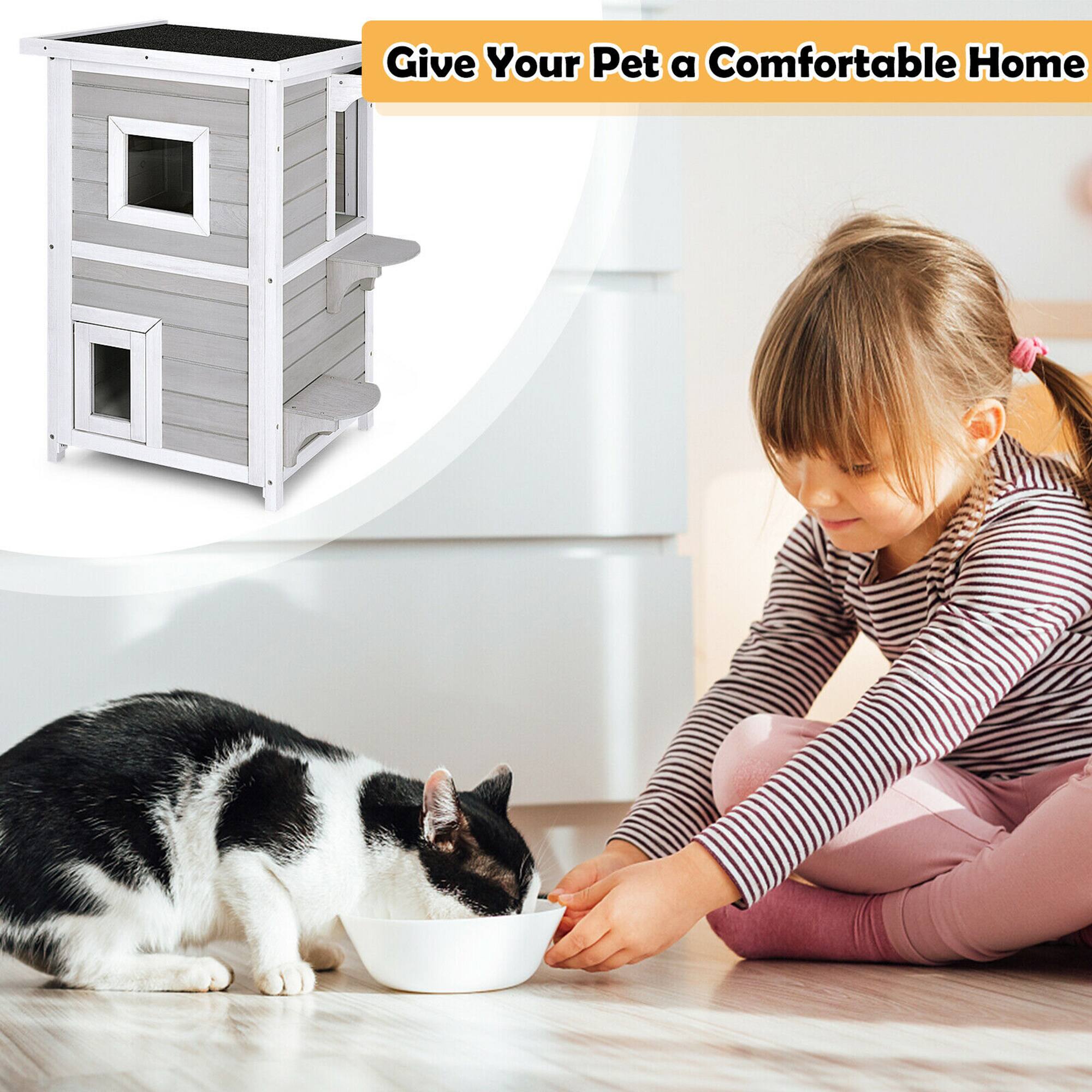 Give Your Pet a Comfortable Home