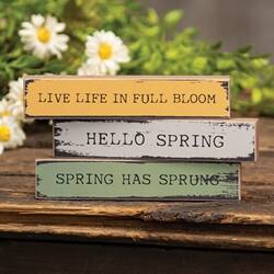 LIVE LIFE IN FULL BLOOM  
HELLO SPRING  
SPRING HAS SPRUNG