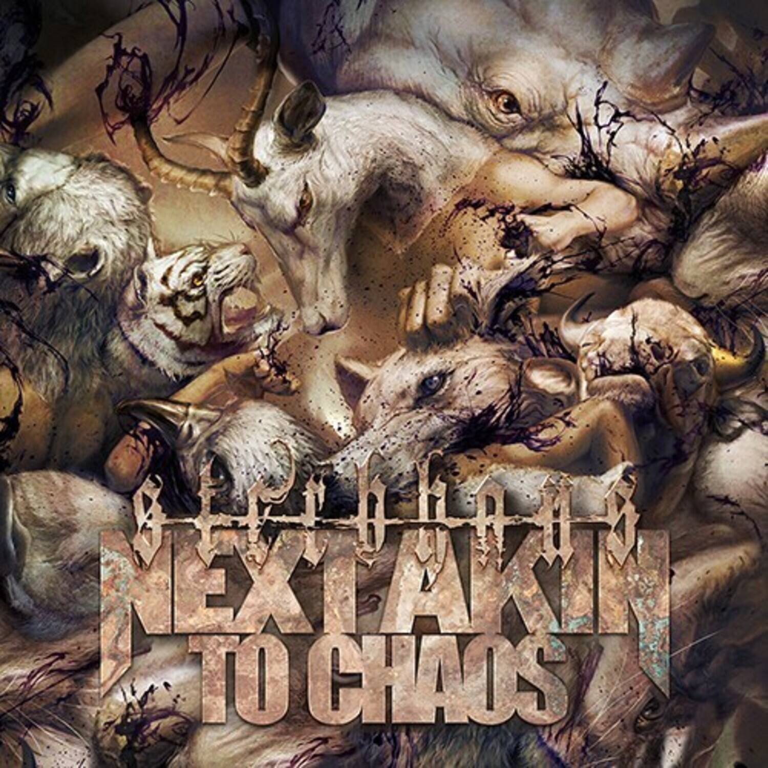 Next to Chaos