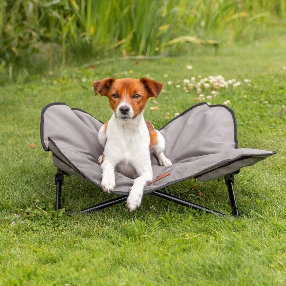 Angle. TRIXIE - Elevated Camping Cot, Folding Dog Bed, Raised Travel Lounger - Gray.