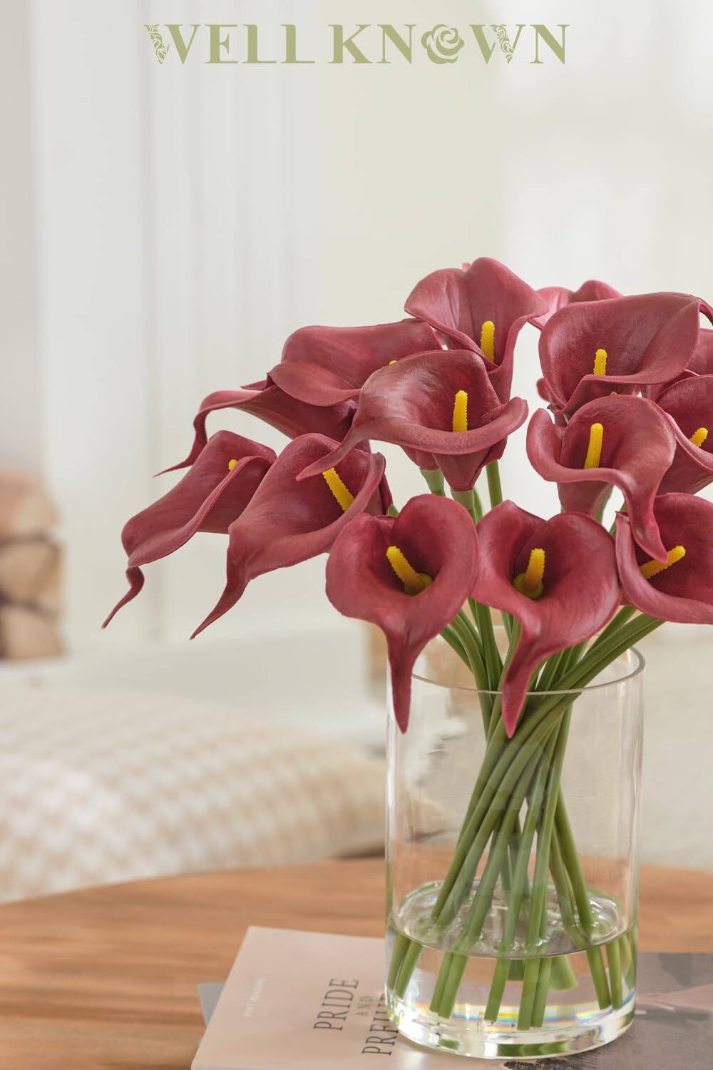 WELL KNOWN  
PRIDE AND PREJUDICE