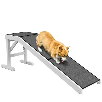 Front. Pawhut - Dog Ramp for Bed, Pet Ramp for Dogs with Non-Slip Carpet and Top Platform, 60" x 16" x 20" - White.
