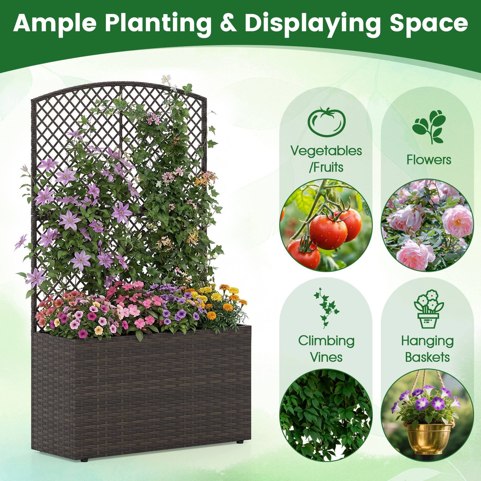 Ample Planting & Displaying Space

- Vegetables / Fruits
- Flowers
- Climbing Vines
- Hanging Baskets