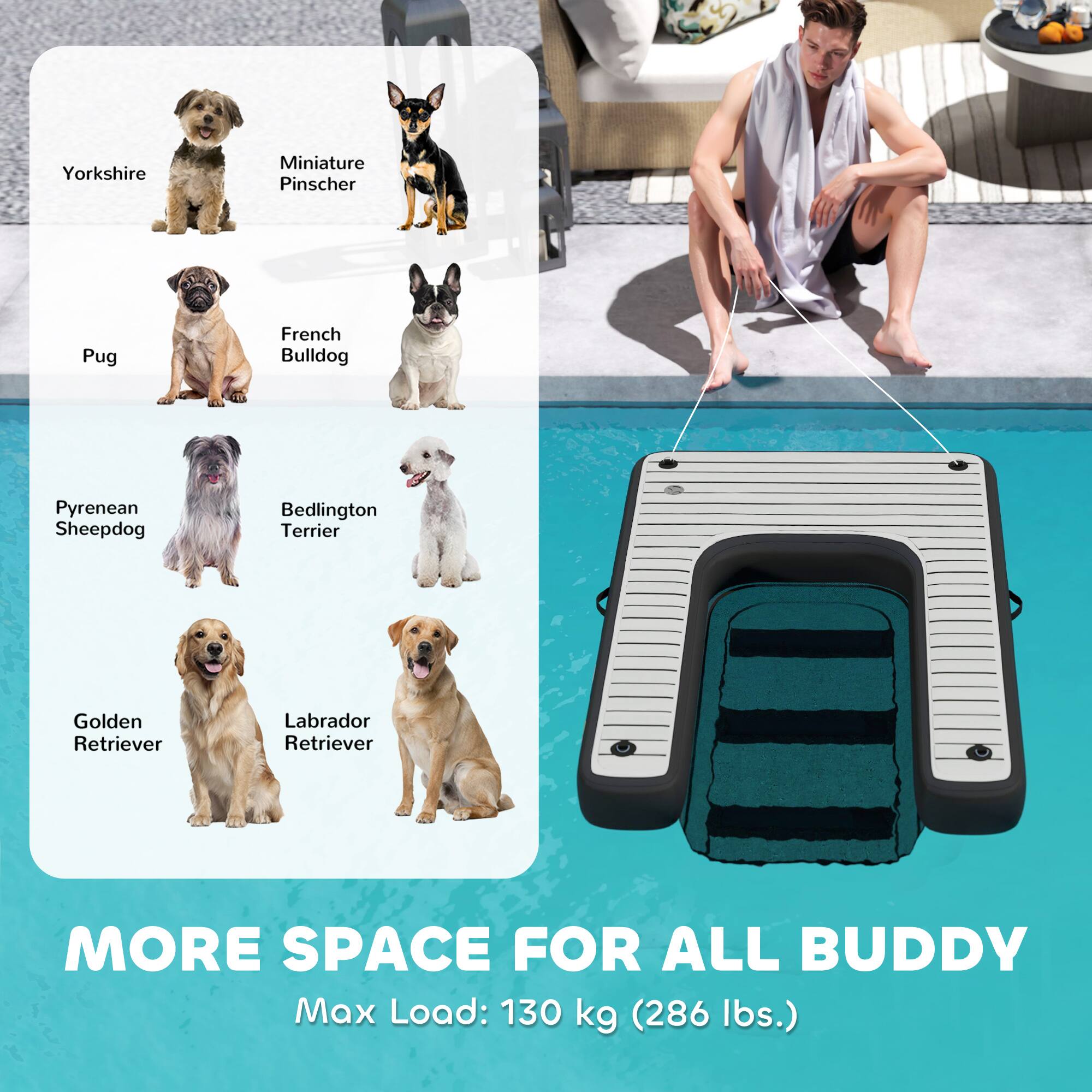 Yorkshire Miniature Pinscher Pug French Bulldog Pyrenean Sheepdog Bedlington Terrier Golden Retriever Labrador Retriever

MORE SPACE FOR ALL BUDDY

Max Load: 130 kg (286 lbs.)