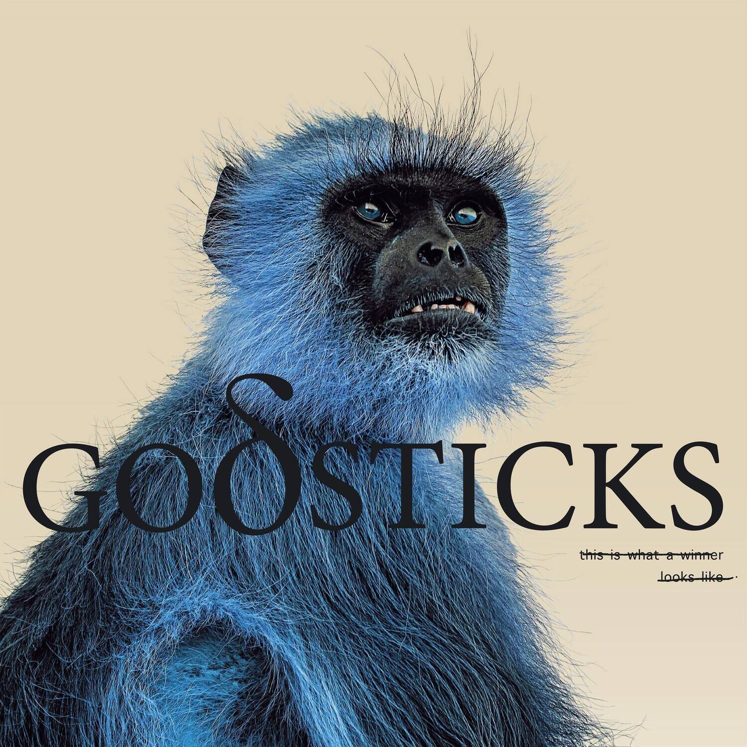 GOOSTICKS  
this is what a winner looks like