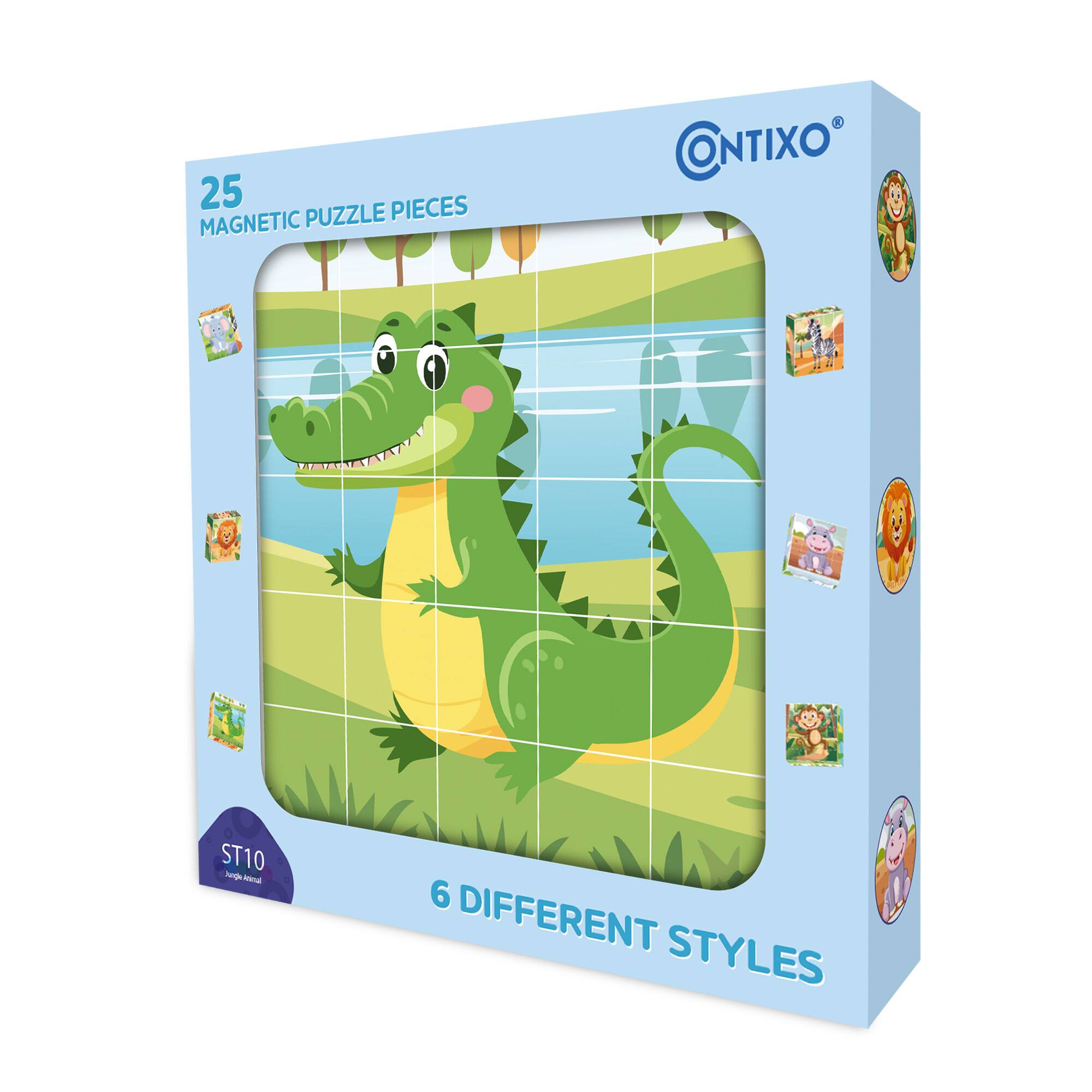 25 Magnetic Puzzle Pieces  
6 Different Styles  
ONTIXO®  
ST10  
6 Different Styles