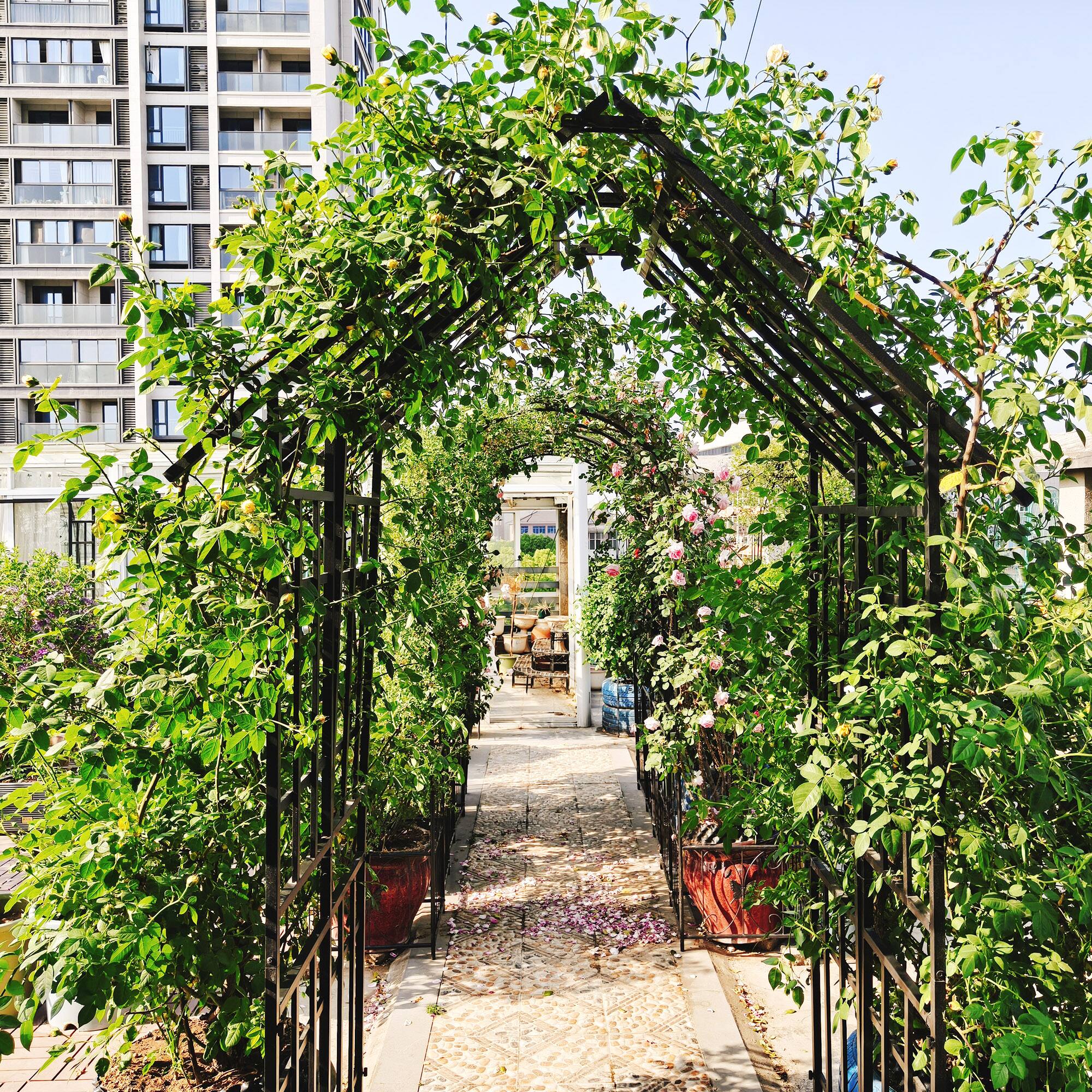 Alt View 2. Loheer - Adjustable Metal Garden Arch 3.54 to 6.51 ft Wide Rose Trellis for Outdoor Wedding Ceremony Yard - Black.