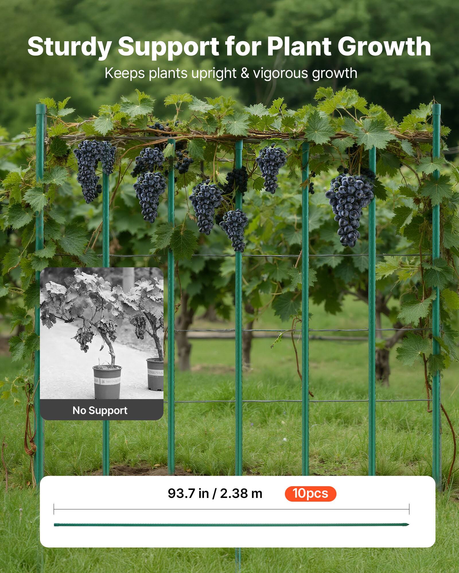 Sturdy Support for Plant Growth  
Keeps plants upright & vigorous growth  

No Support  

93.7 in / 2.38 m  

10pcs