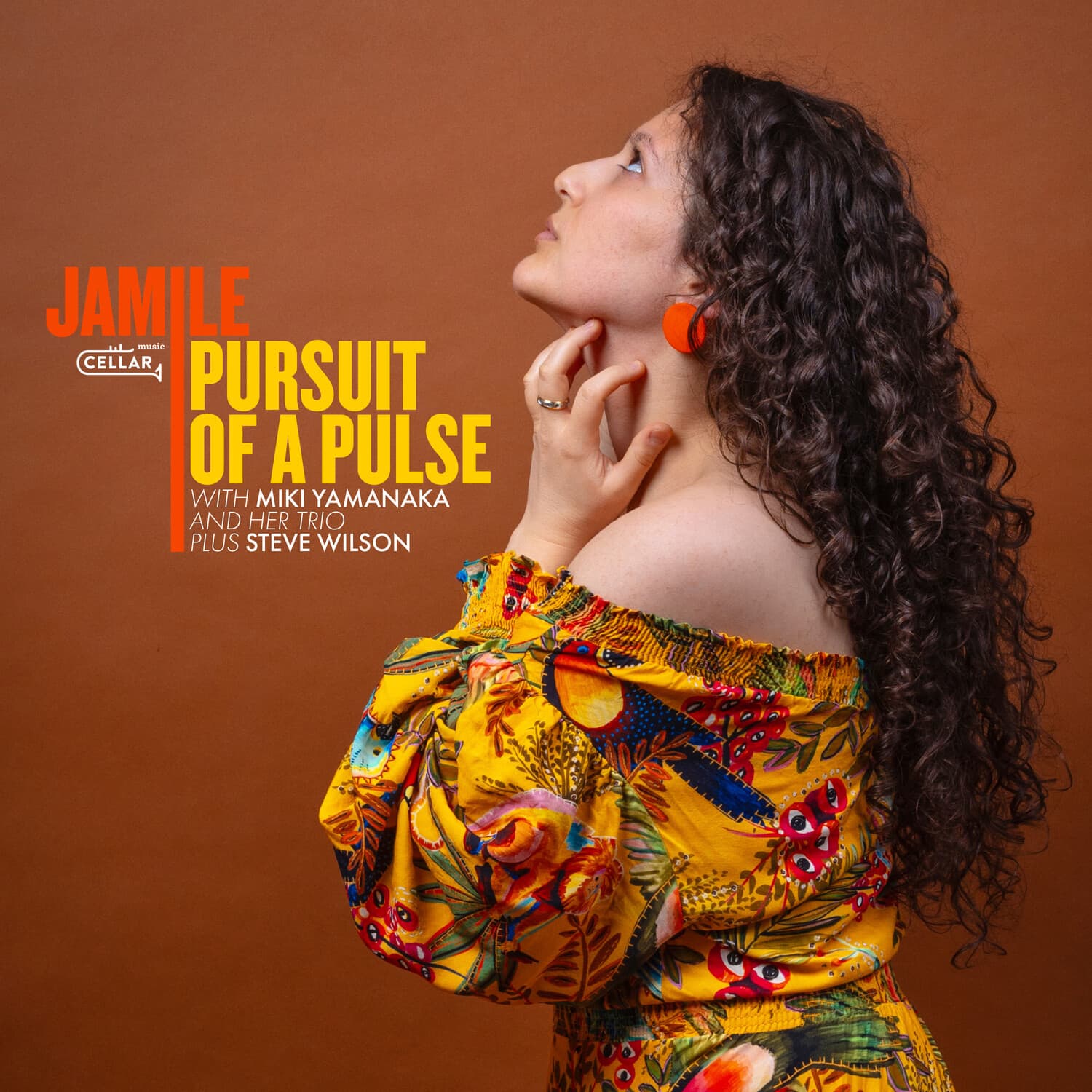 Yamanaka,Jamile & Miki / Wilson,Steve - Pursuit Of A Pulse   - VINYL LP price history on PriceWatchPro