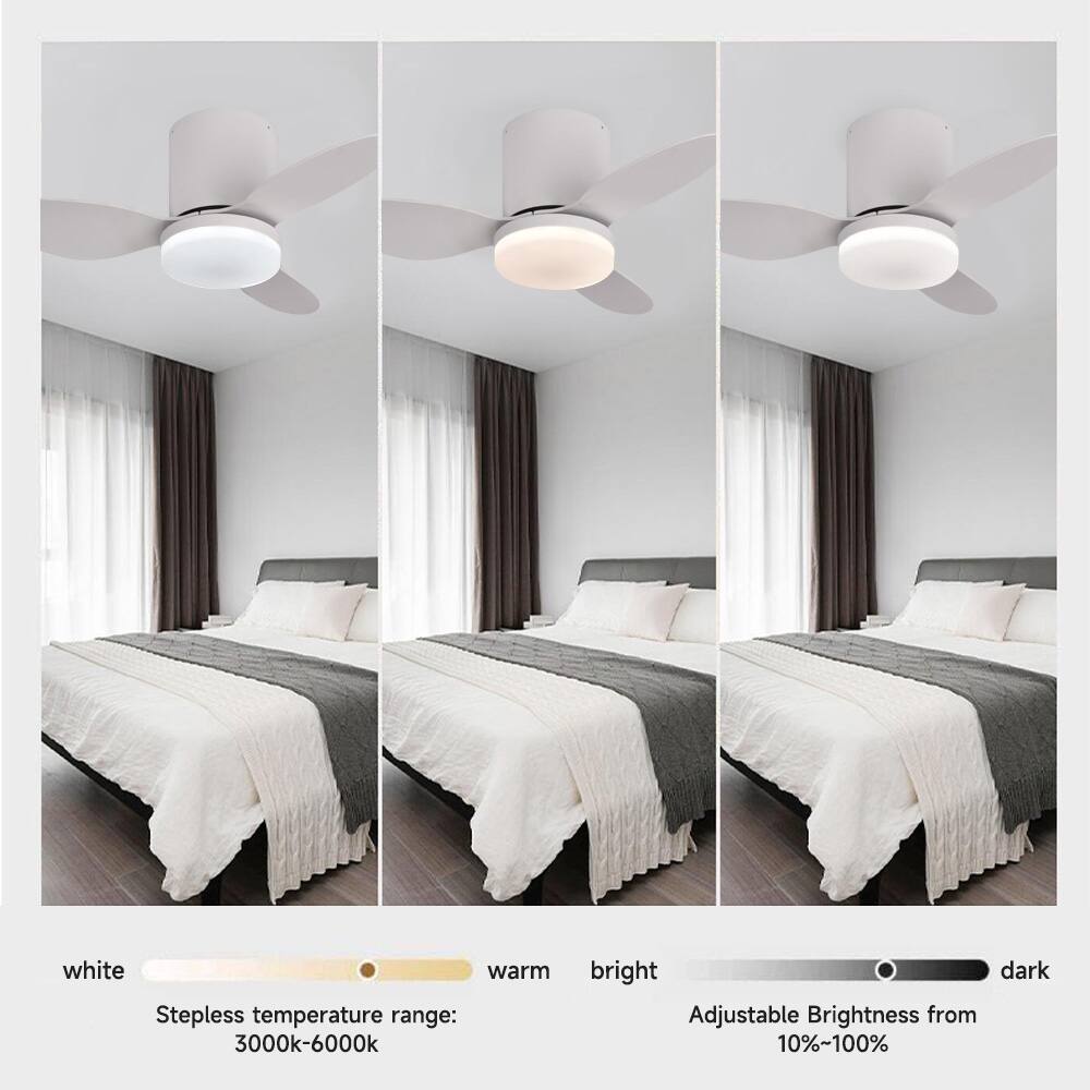white warm  
Stepless temperature range: 3000k-6000k  
bright dark  
Adjustable Brightness from 10%~100%