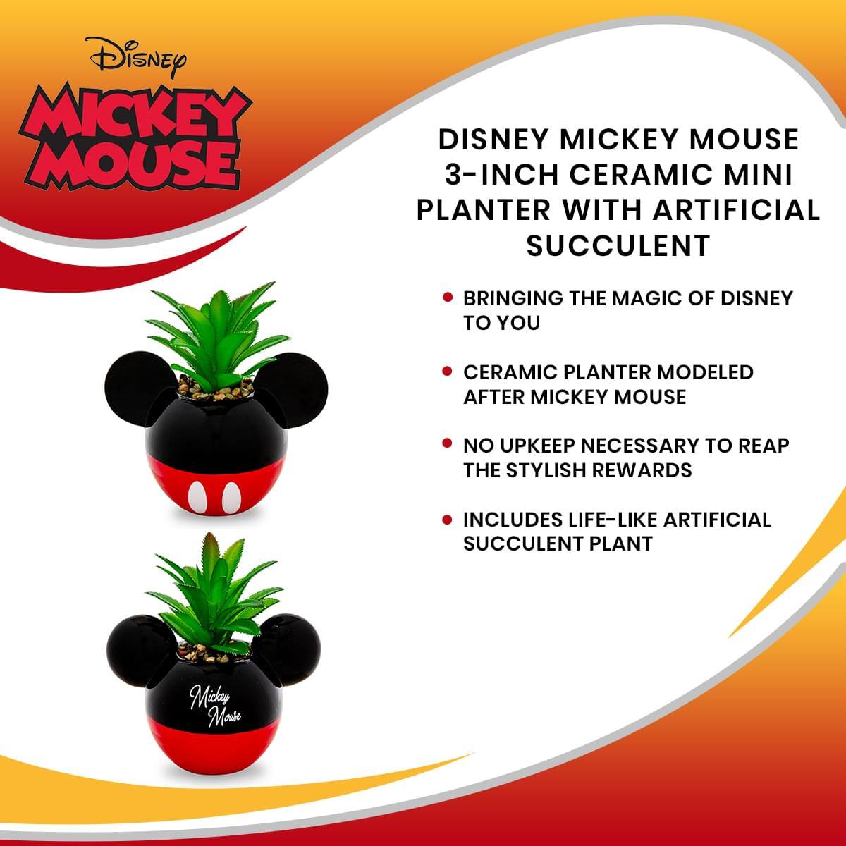 Disney Mickey Mouse 3-Inch Ceramic Mini Planter with Artificial Succulent

- Bringing the Magic of Disney to You
- Ceramic Planter Modeled After Mickey Mouse
- No Upkeep Necessary to Reap the Stylish Rewards
- Includes Life-Like Artificial Succulent Plant