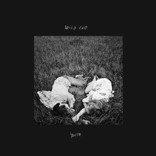 Wild Cub - Youth   - 12-INCH SINGLE [12 inch Vinyl Single] price history on PriceWatchPro