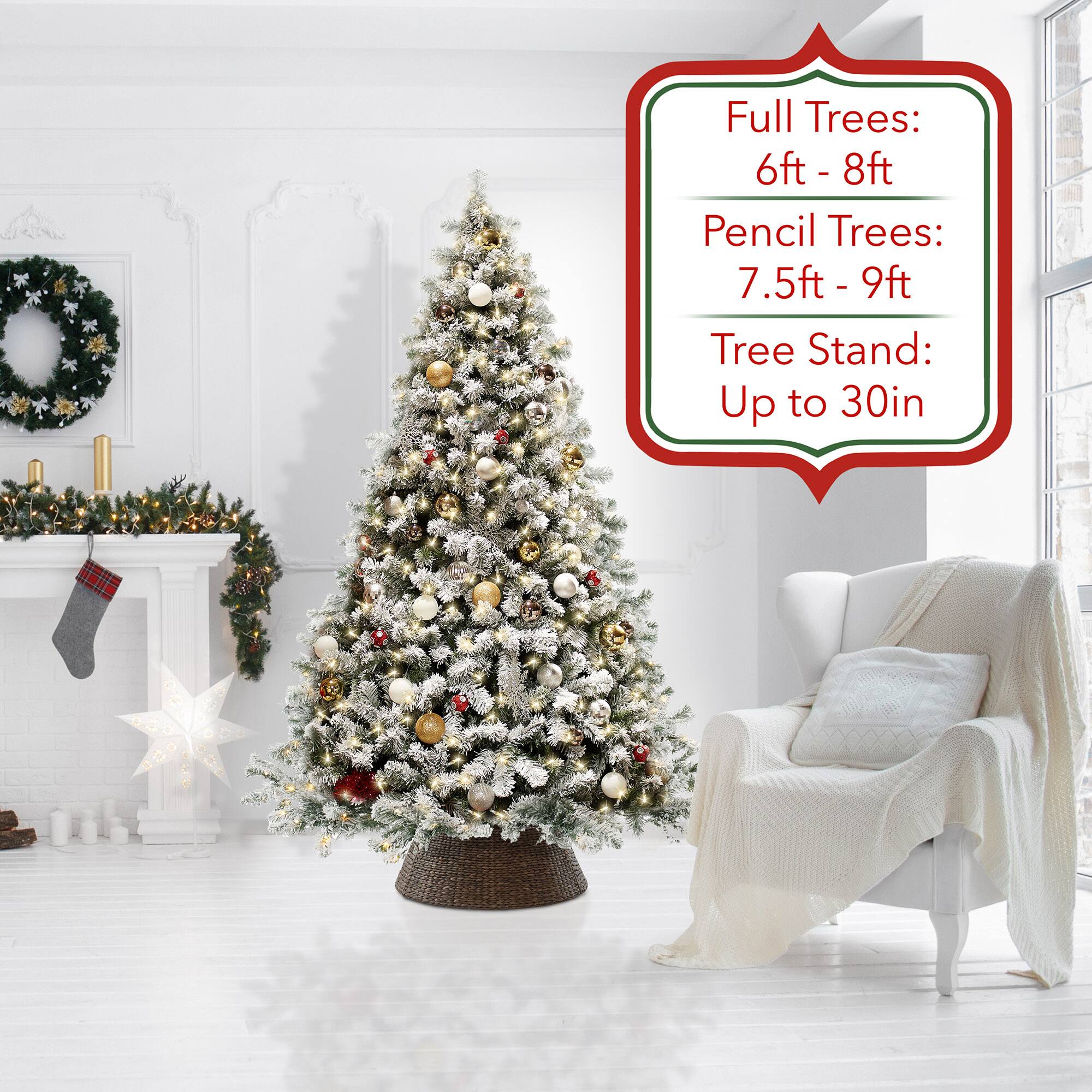 Full Trees: 6ft - 8ft  
Pencil Trees: 7.5ft - 9ft  
Tree Stand: Up to 30in