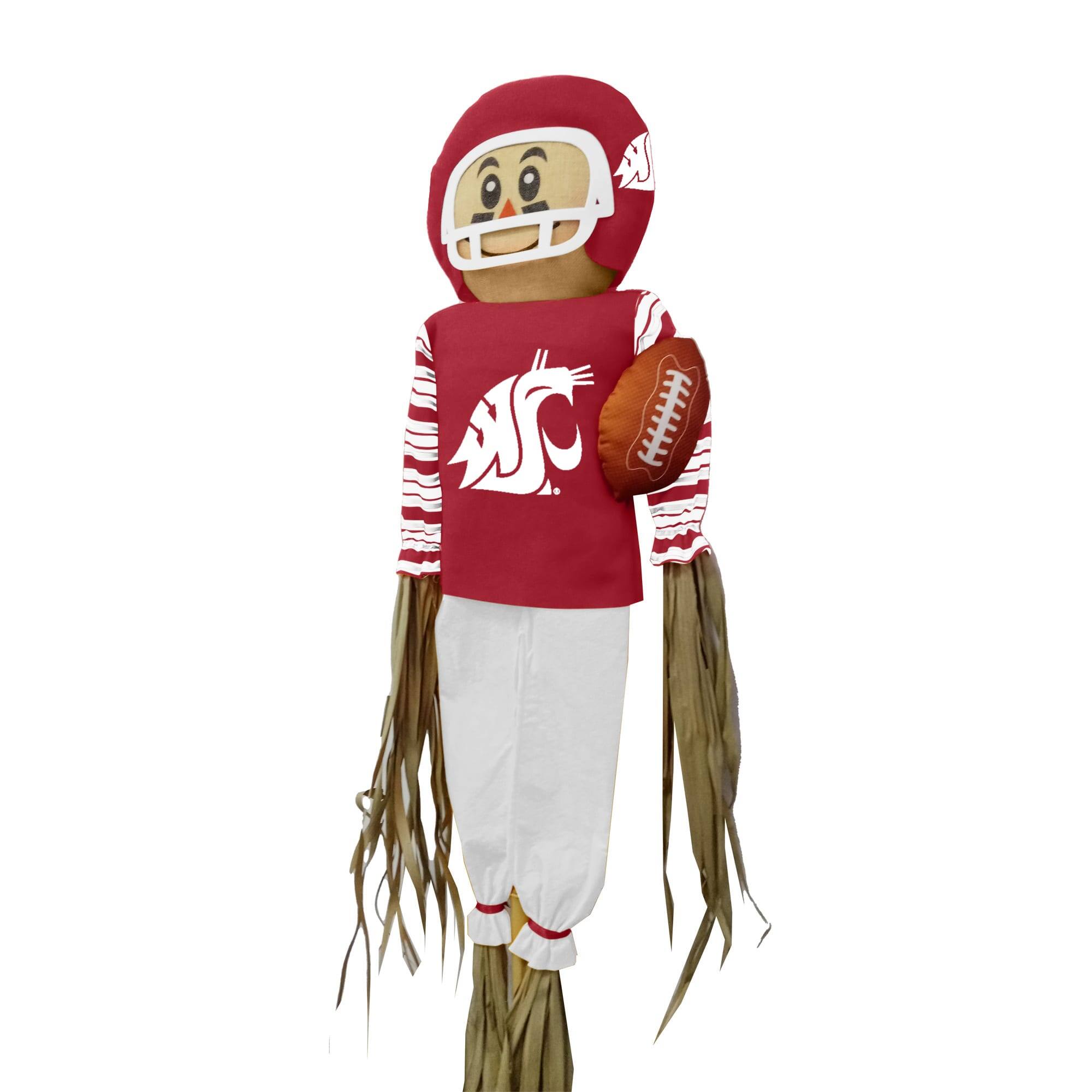 Alt View 1. Sporticulture - Washington State Cougars Team Pride Scarecrow - Multicolor.
