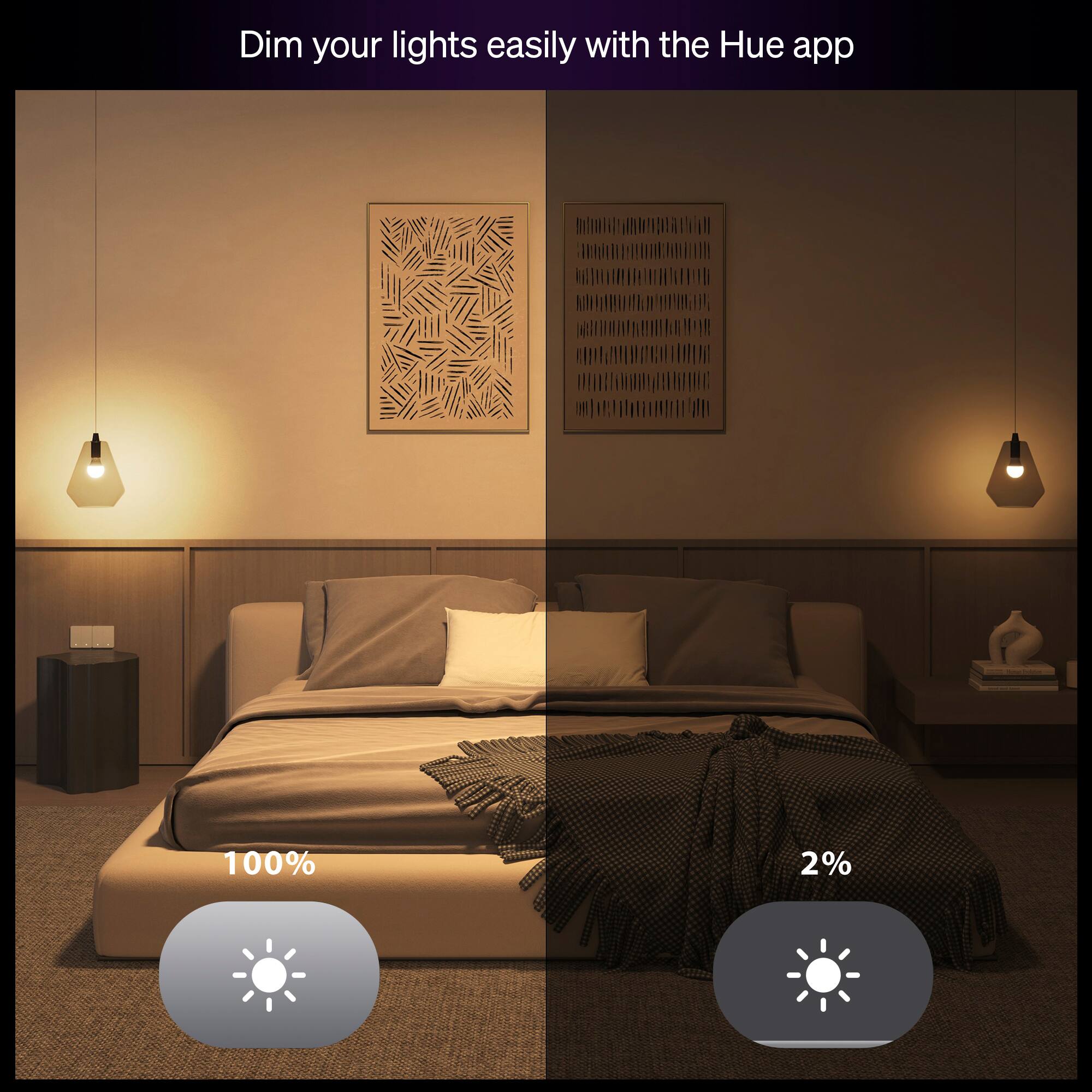 Dim your lights easily with the Hue app

100%

2%