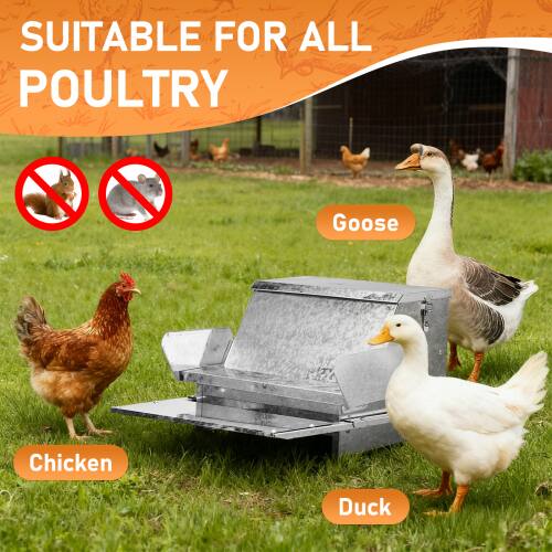 SUITABLE FOR ALL POULTRY

Goose  
Chicken  
Duck