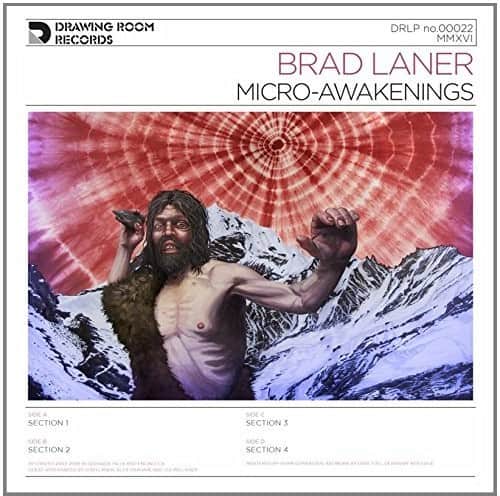Brad Laner - Micro-awakenings   - VINYL LP price history on PriceWatchPro
