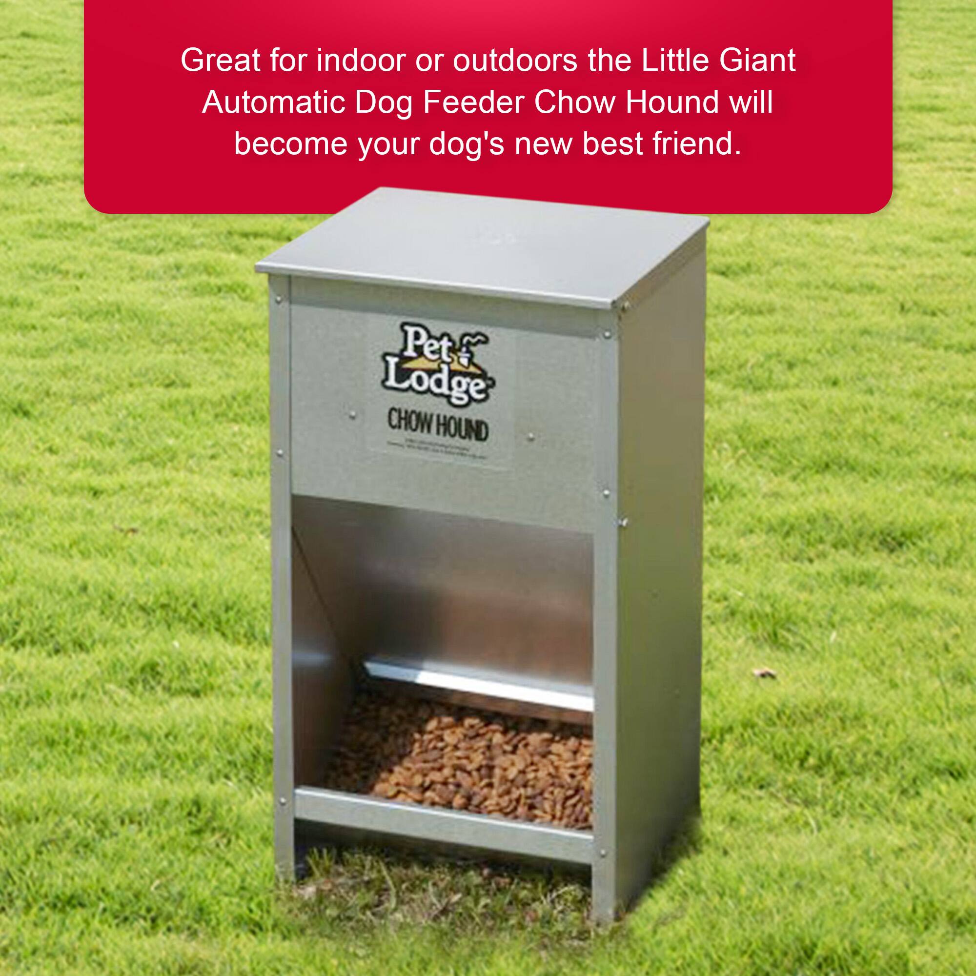 Great for indoor or outdoors the Little Giant Automatic Dog Feeder Chow Hound will become your dog's new best friend.

Pet Lodge CHOW HOUND