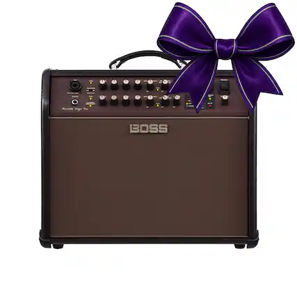 Acoustic Singer Pro
BOSS