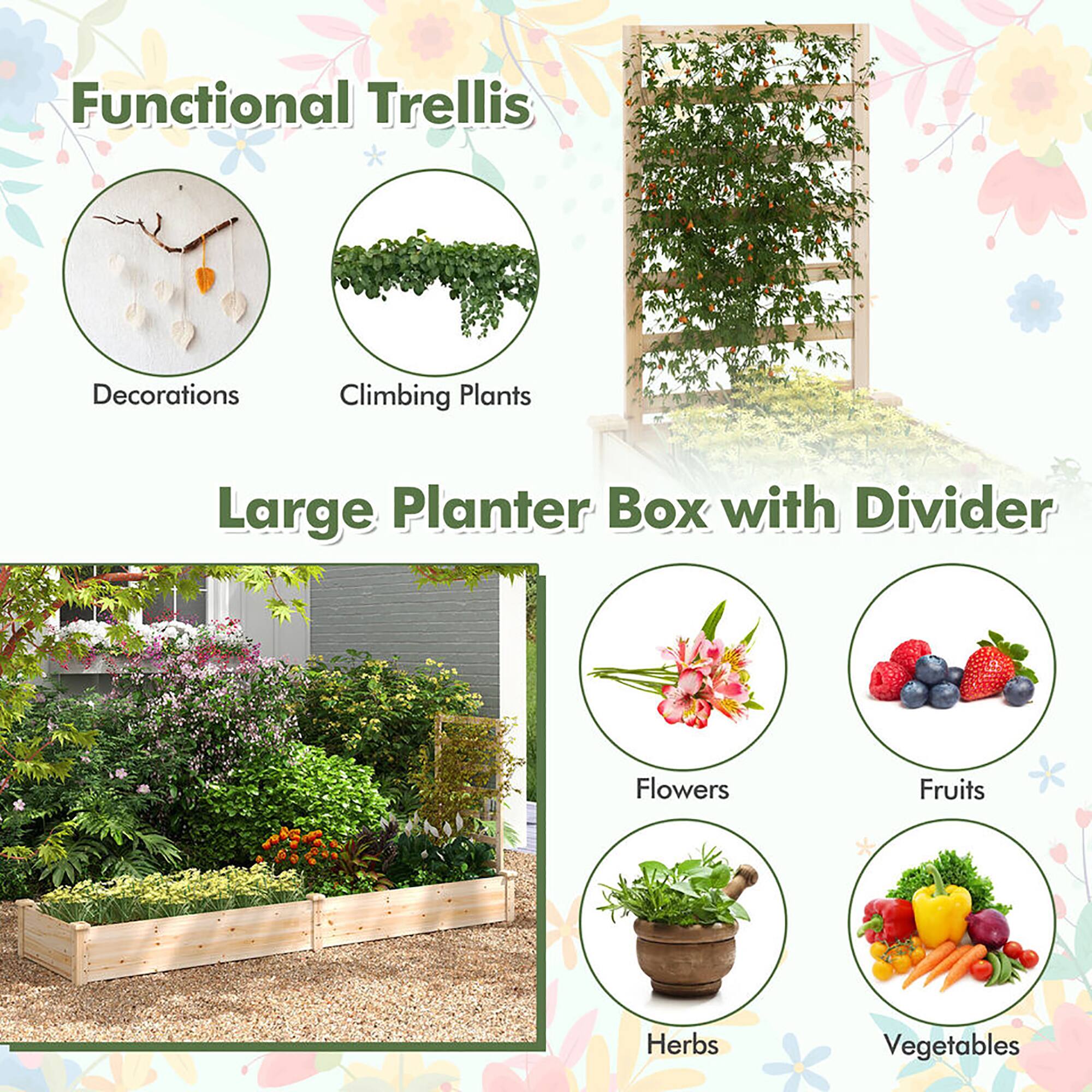 Functional Trellis  
Decorations  
Climbing Plants  

Large Planter Box with Divider  
Flowers  
Fruits  
Herbs  
Vegetables