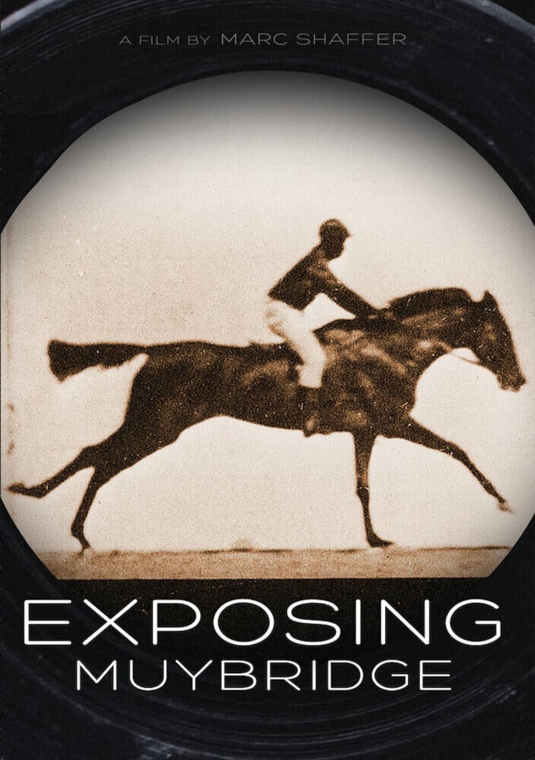 Exposing Muybridge  - DVD