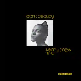Kenny Drew - Dark Beauty - VINYL LP