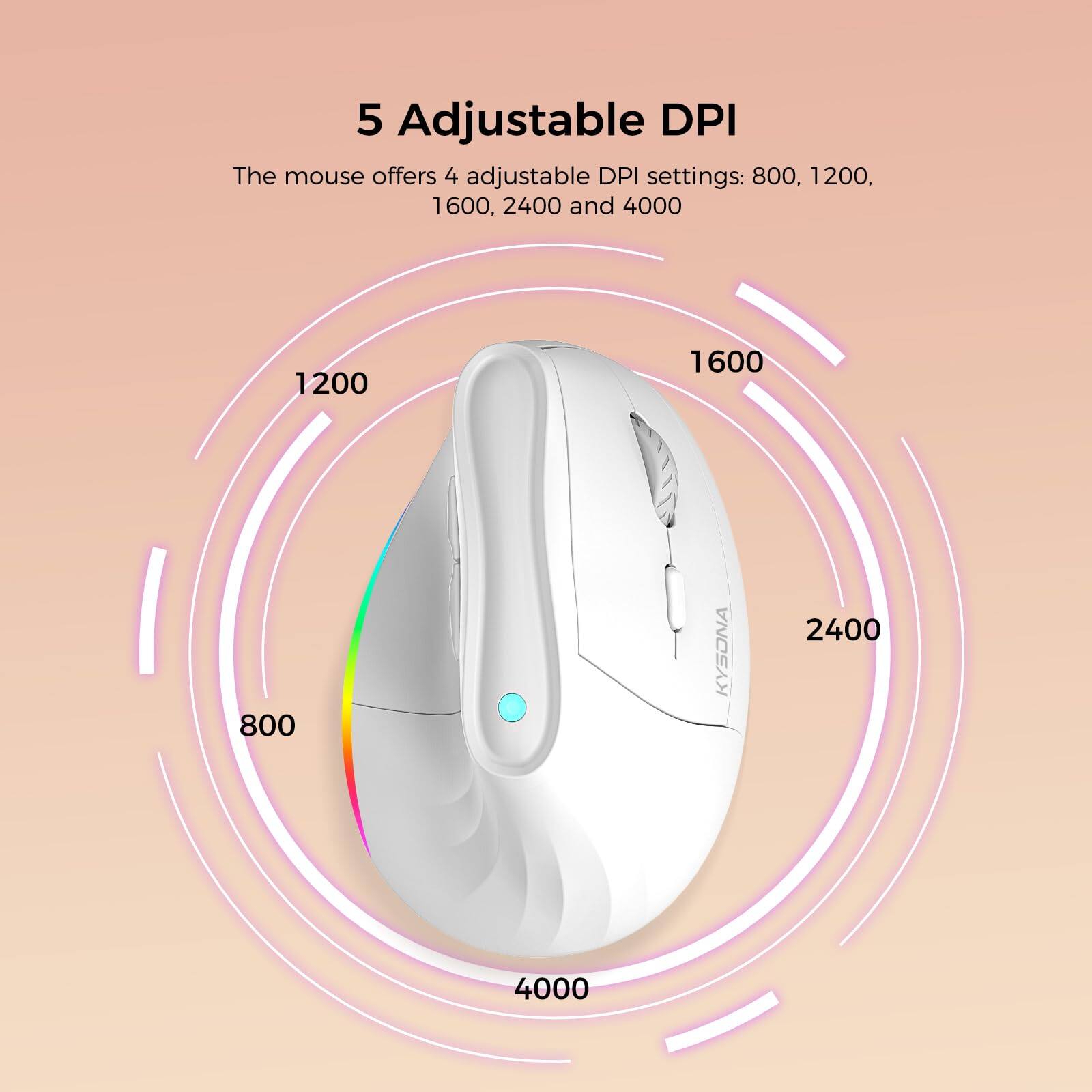 5 Adjustable DPI

The mouse offers 4 adjustable DPI settings: 800, 1200, 1600, 2400, and 4000