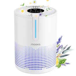 ZACHVO - Air Purifiers for 430 Sq.Ft room, Portable with USB Cable Fragrance Sponge for Smokers pets, Desktop Air Cleaner for Car