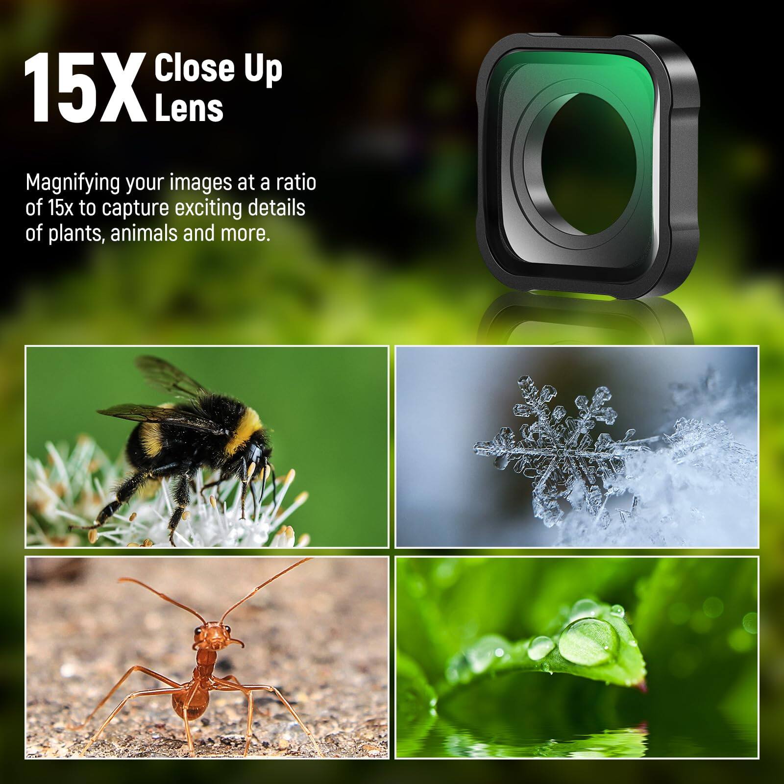 15X Close Up Lens

Magnifying your images at a ratio of 15x to capture exciting details of plants, animals and more.
