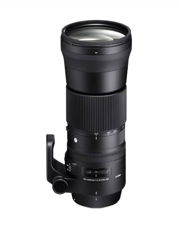 Sigma 150 600mm F5 6.3 Sports DG OS HSM & TC 1401 for Nikon Black
