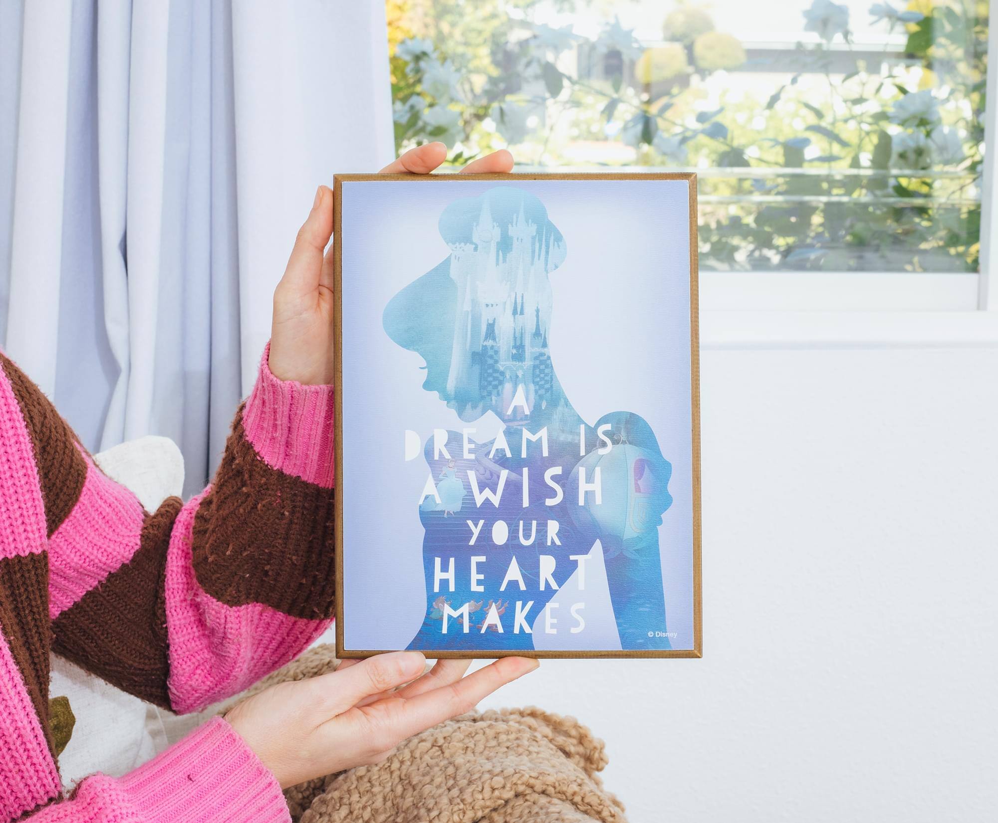 A dream is a wish your heart makes  
© Disney