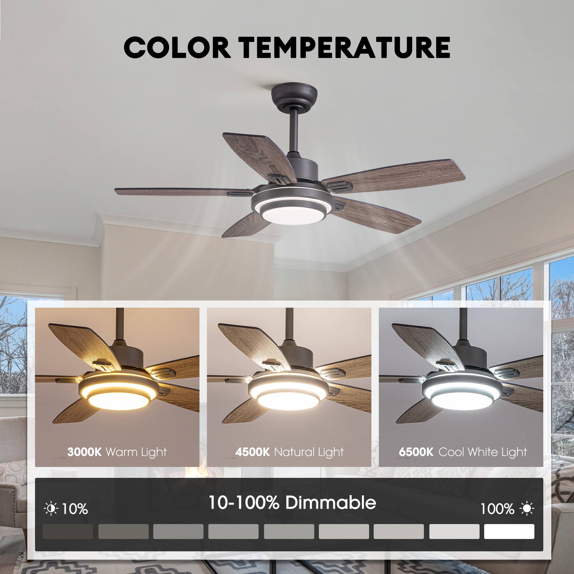 COLOR TEMPERATURE

3000K Warm Light  
4500K Natural Light  
6500K Cool White Light  

10-100% Dimmable