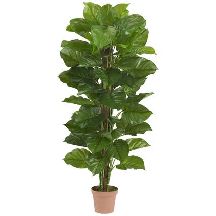 Front. BreeBe - 63” Large Leaf Philodendron Plant (Real Touch) - Green.