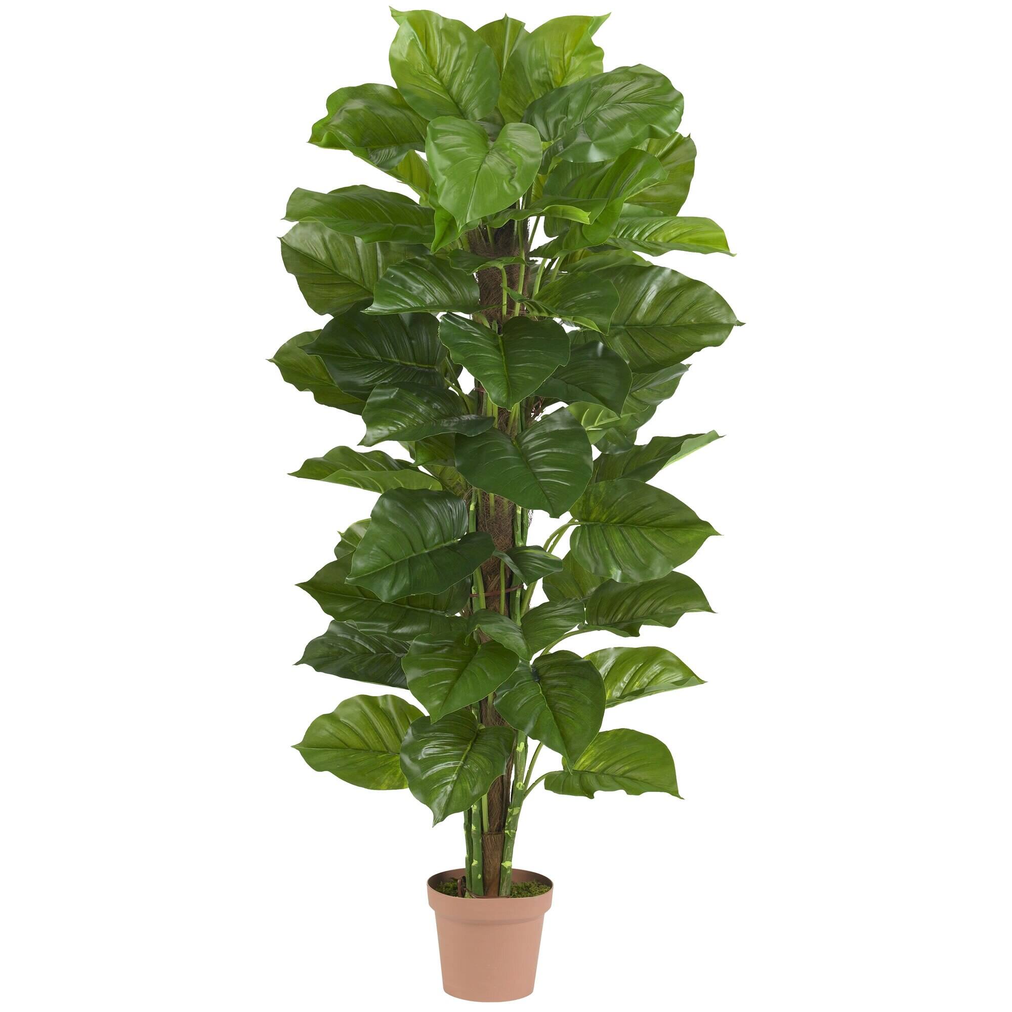 Front. BreeBe - 63” Large Leaf Philodendron Plant (Real Touch) - Green.