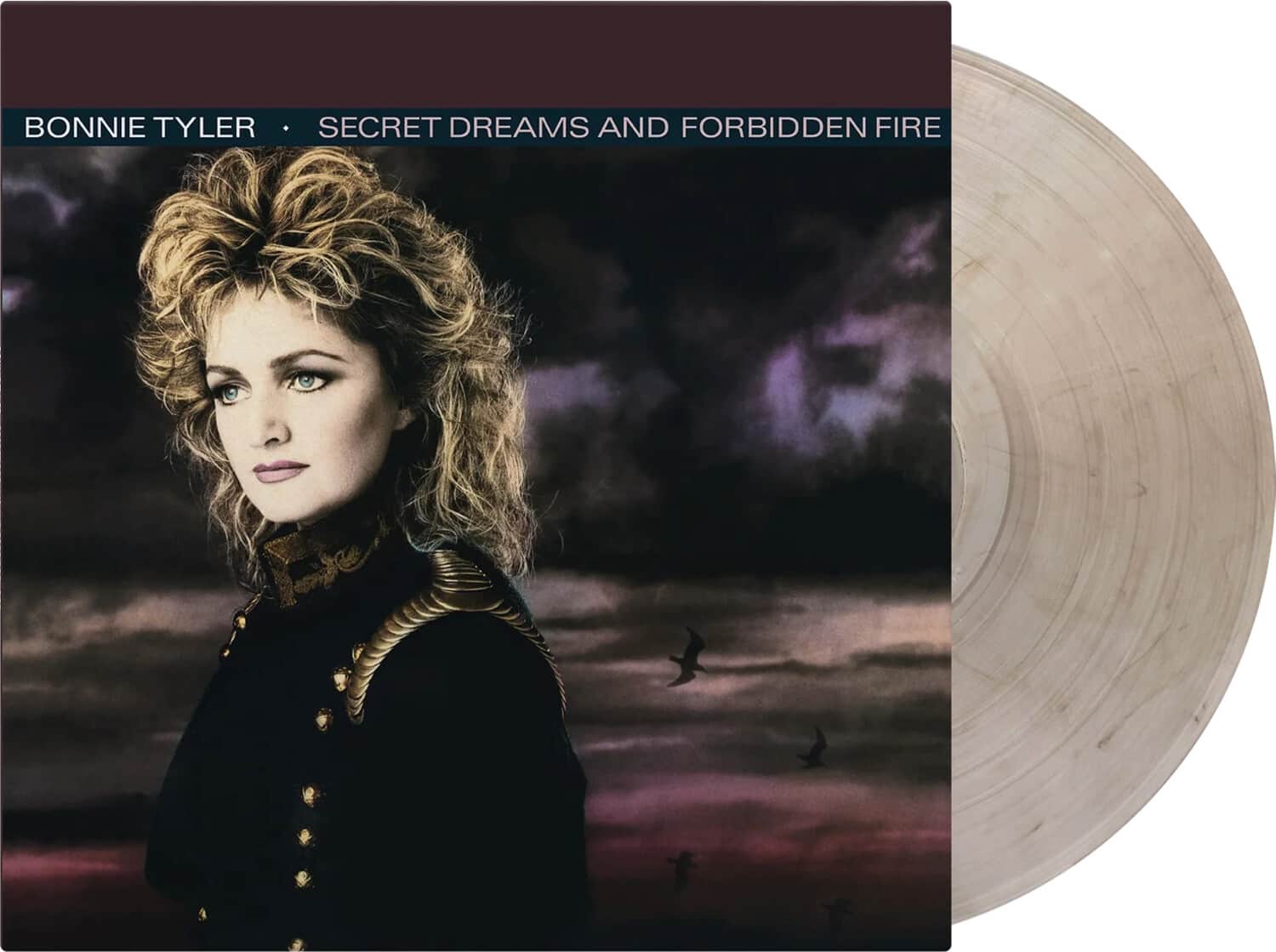 Bonnie Tyler - Secret Dreams & Forbidden Fire - Limited 180-Gram Crystal Clear & Black Marble - VINYL LP price history on PriceWatchPro
