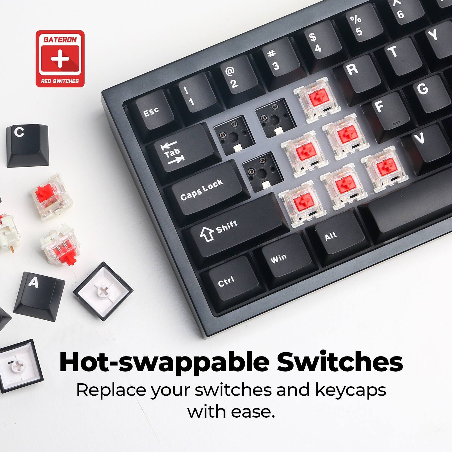 GATERON + RED SWITCHES

1 Esc Tab 2 Lock Caps 3 $ 4 % 5 R ^ 6 T F : - Y G V A Shift Ctrl Win Alt

Hot-swappable Switches
Replace your switches and keycaps with ease.