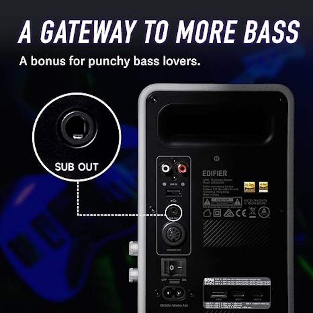 A Gateway to More Bass: A Bonus for Punchy Bass Lovers. Sub Out Redifier 65W K06-24 500% ESA.