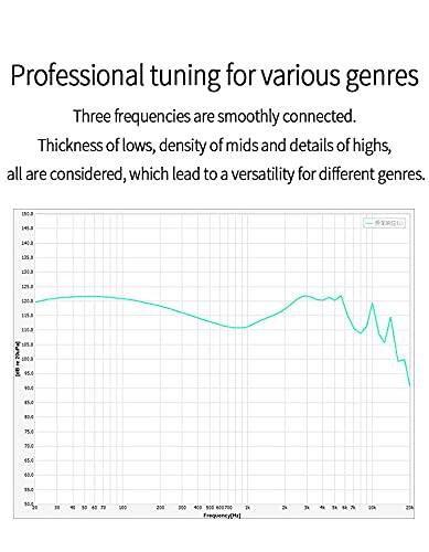 Professional tuning for various genres

Three frequencies are smoothly connected.

Thickness of lows, density of mids and details of highs, all are considered, which lead to a versatility for different genres.

Frequency (Hz)