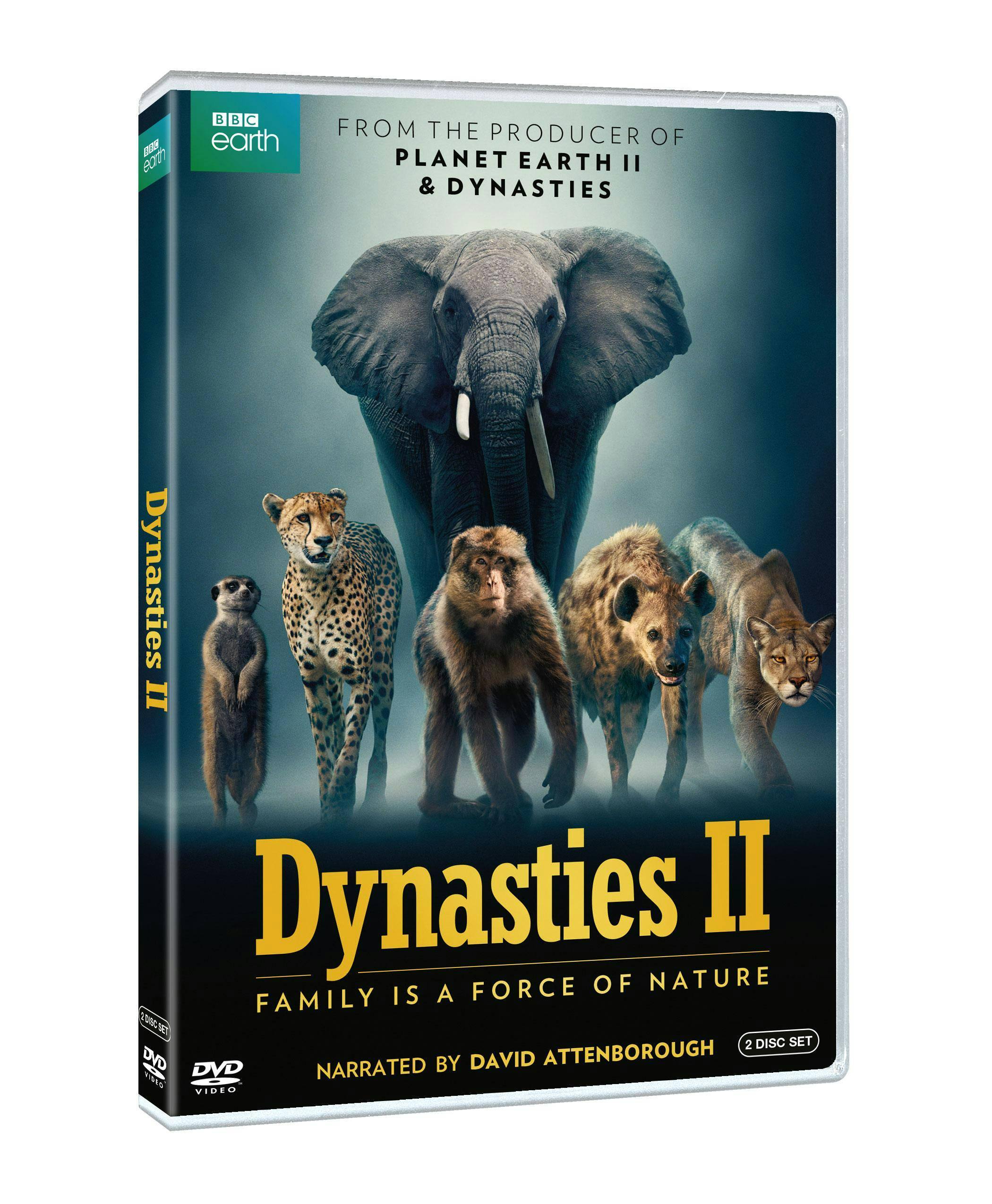 Angle. Dynasties II [DVD].